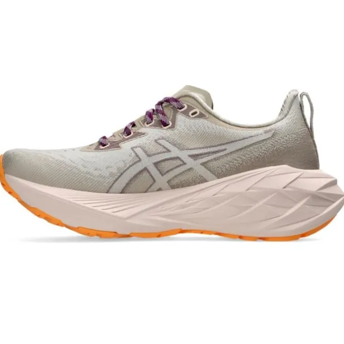 Asics Neutraalit Juoksukengät | Päivittäiseen Harjoitteluun^Novablast 4 TR Harmaa