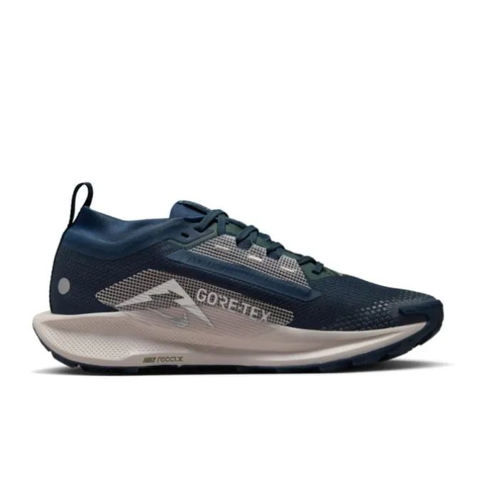Nike Neutraalit Juoksukengät | Polkujuoksukengät^Pegasus Trail 5 Gore-Tex Sininen