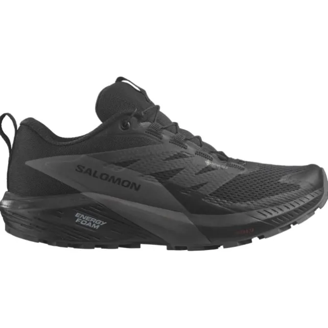Salomon Vaelluskengät Tarjouksessa | Neutraalit Juoksukengät^Sense Ride 5 GTX Musta